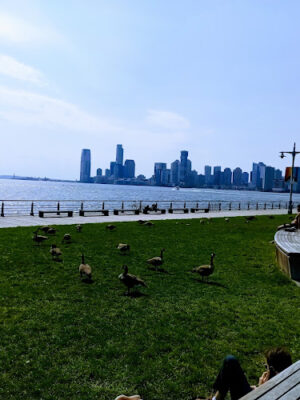Hudson River Park Trust