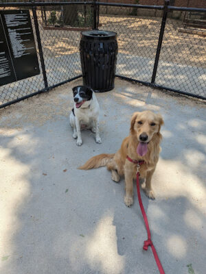 Theodore Roosevelt Park