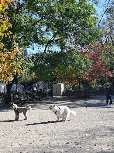 Tompkins Square Dog Run
