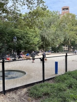 Washington Square Park Dog Run