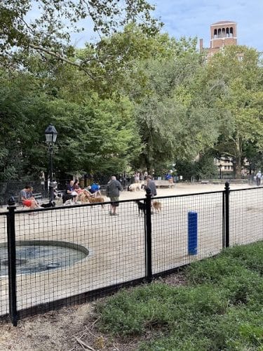 Washington Square Park Dog Run