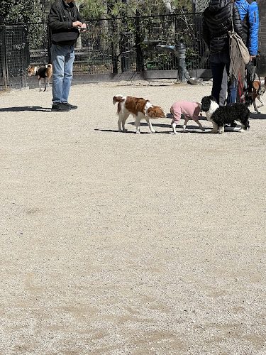 Washington Square Park Dog Run
