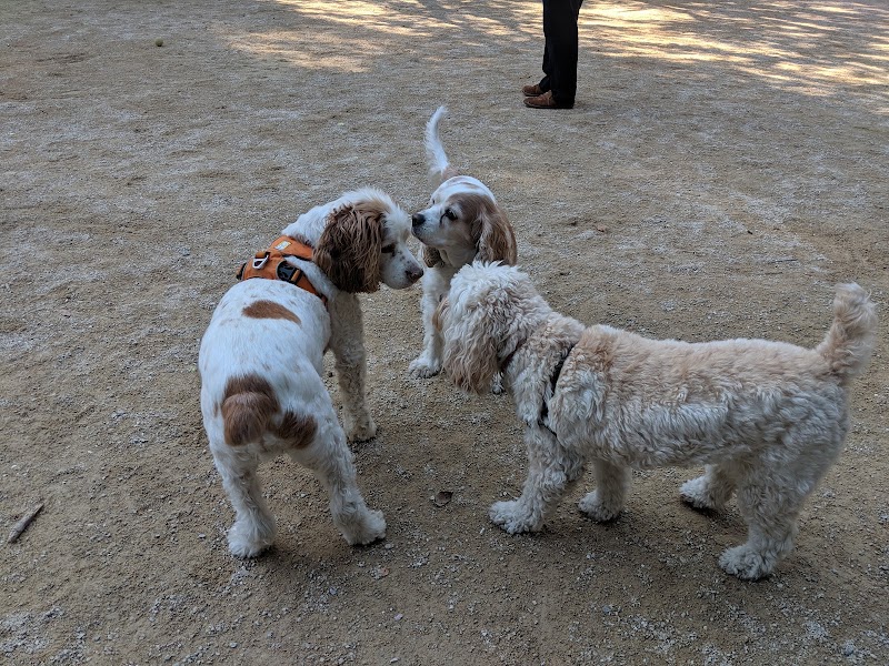 Washington Square Park Dog Run - New York, NY