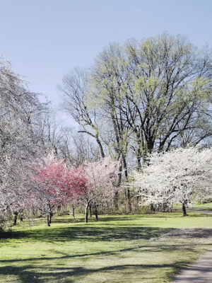 Branch Brook Park