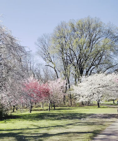 Branch Brook Park