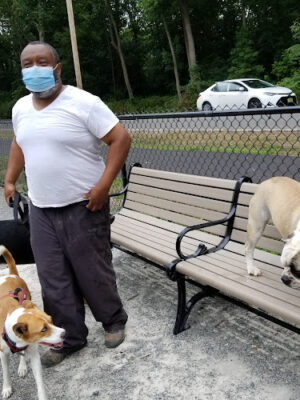 Essex County Branch Brook Park Dog Park