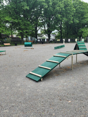 Vailsburg Dog Park