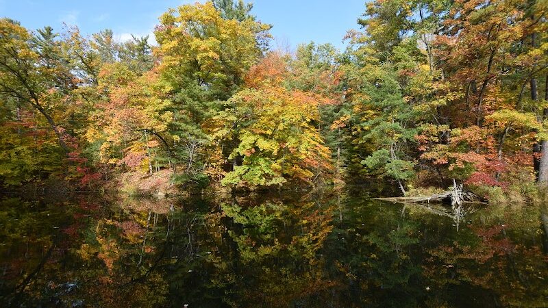 Hardy Dam Trailhead - The Dragon - Newaygo,