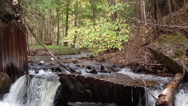 Marshall Memorial Park - Newaygo,