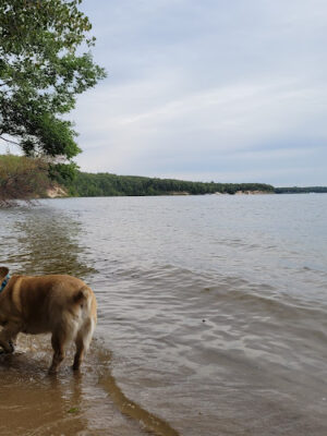 Sandy Beach Trailhead - The Dragon