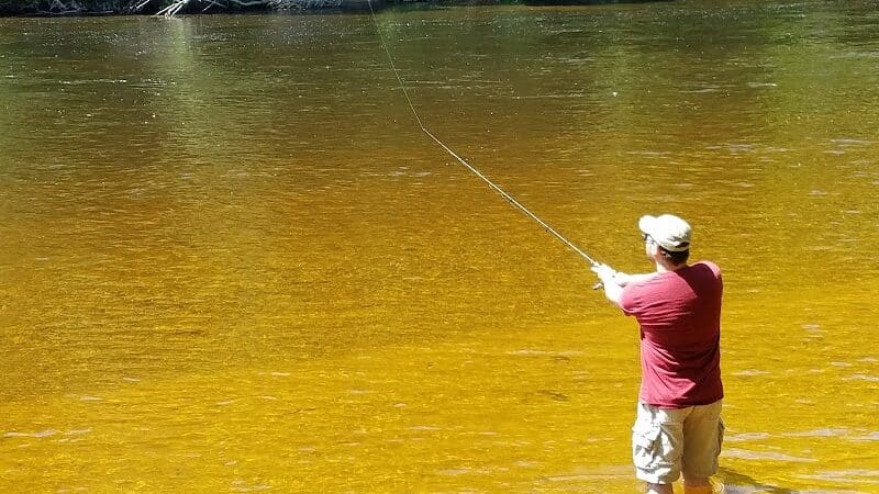 Newaygo River Front Park - Newaygo,