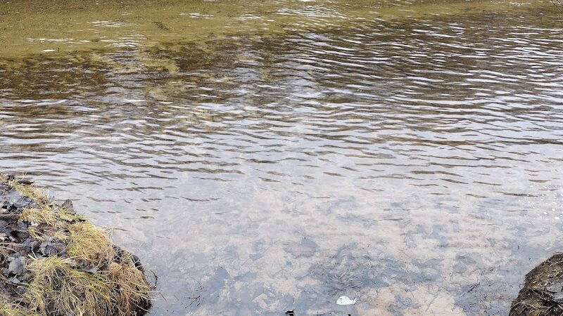 Newaygo River Front Park - Newaygo,