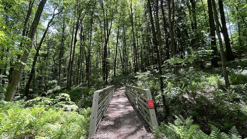 Sandy Beach Trailhead - The Dragon - Newaygo,