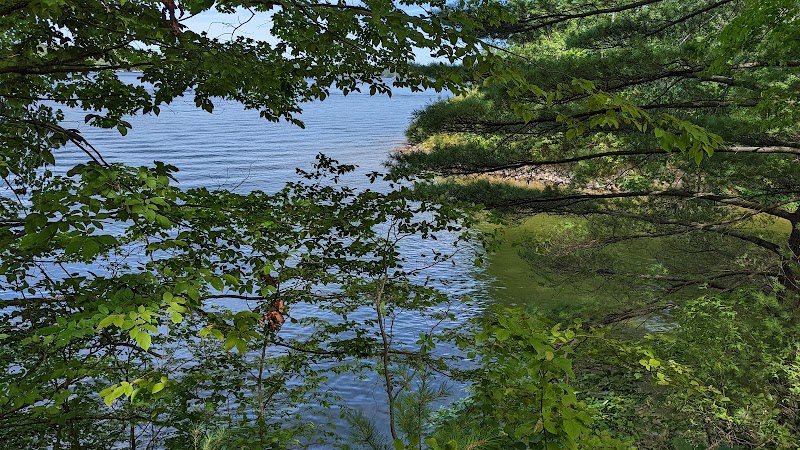 Sandy Beach Trailhead - The Dragon - Newaygo,