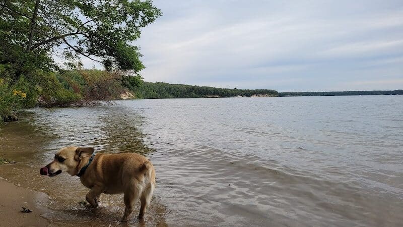 Sandy Beach Trailhead - The Dragon - Newaygo,