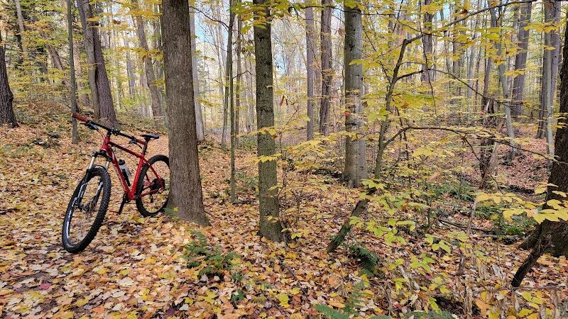 Sandy Beach Trailhead - The Dragon - Newaygo,