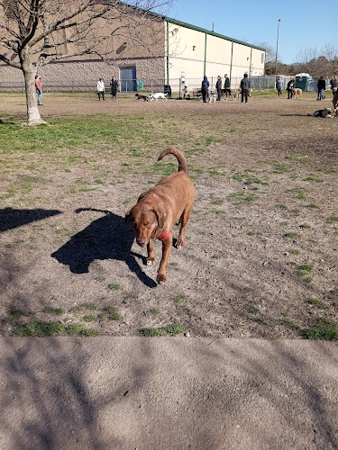 Fido Field - Newport News, VA