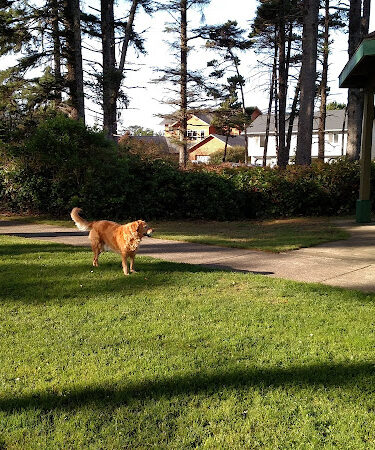 Agate Beach Neighborhood and Dog Park