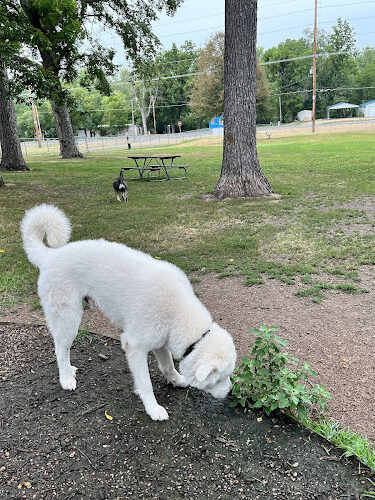Newton Dog Park