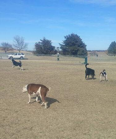 Centennial Dog Park