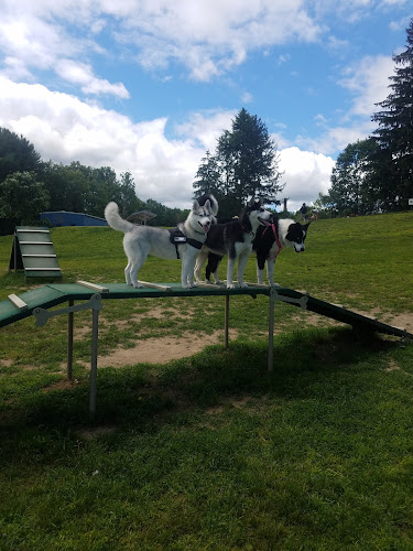 Newtown Park & Bark