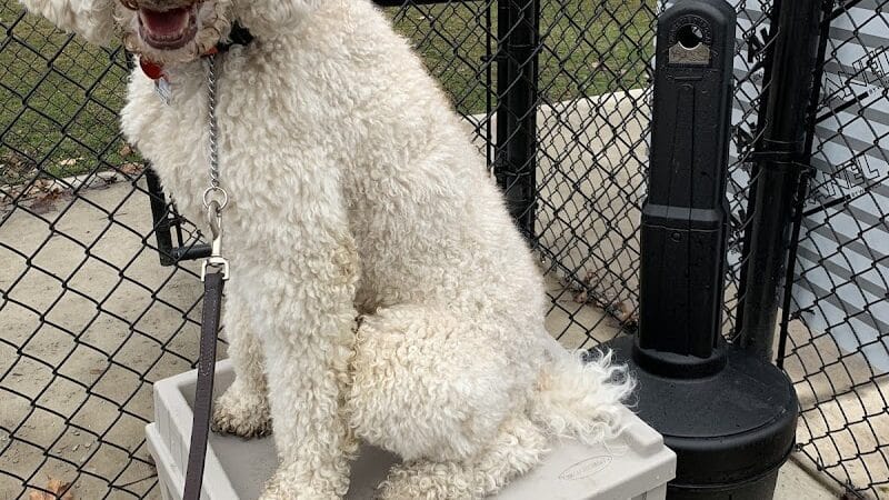 Ruff & Tumble Dog Park - Niles, MI