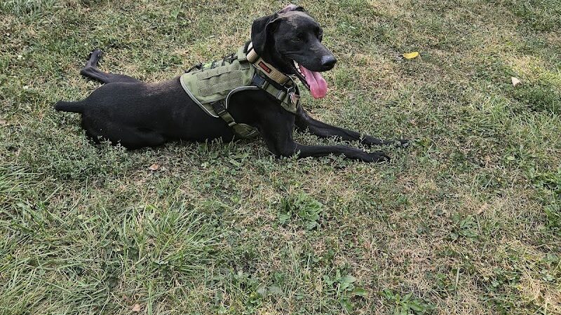 Ruff & Tumble Dog Park - Niles, MI