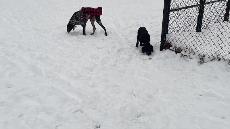 Ruff & Tumble Dog Park - Niles, MI