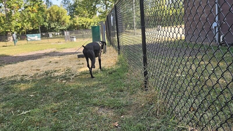 Ruff & Tumble Dog Park - Niles, MI