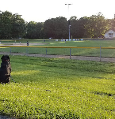 Nokesville Park