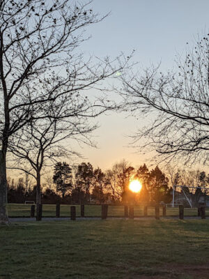 Valley View Park
