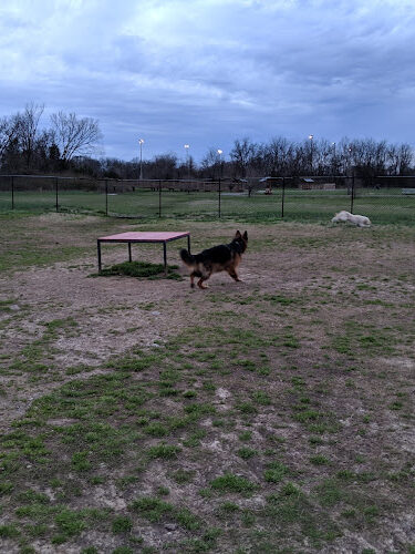 Nolensville Dog Park
