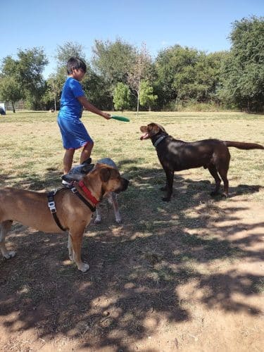 Norman Community Dog Park