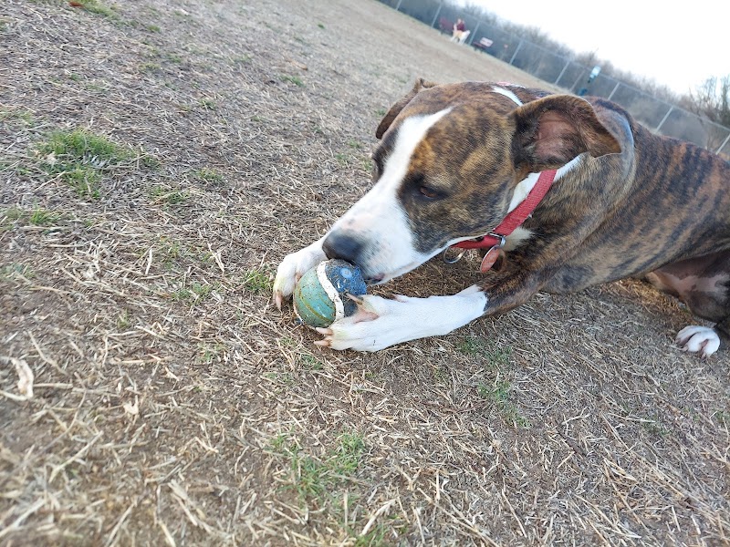 Norman Community Dog Park - Norman, OK