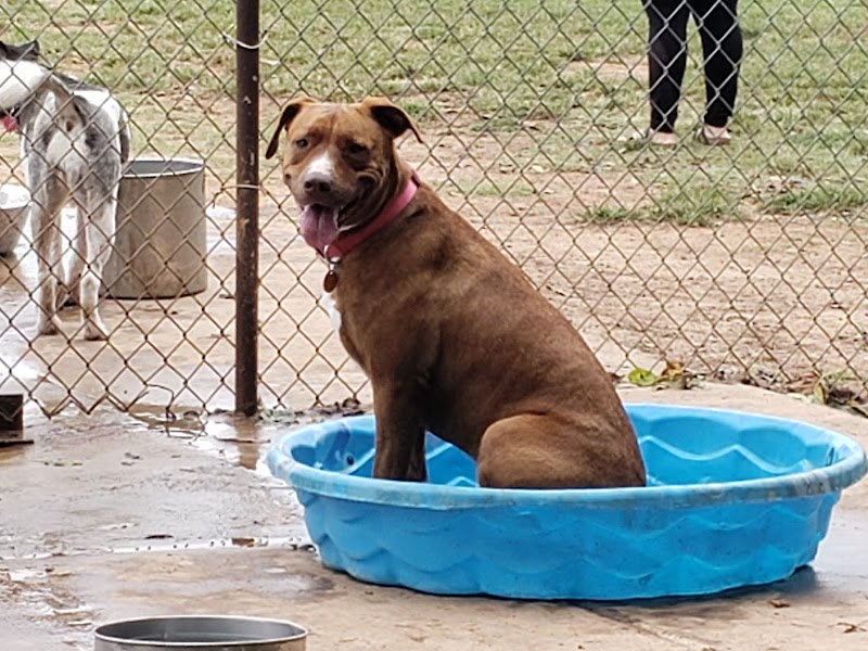 Norman Community Dog Park - Norman, OK