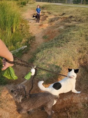 Norman Community Dog Park