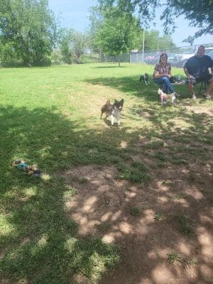 Norman Community Dog Park