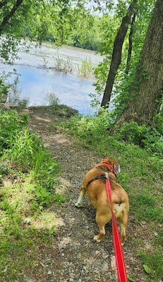 Betzwood Park