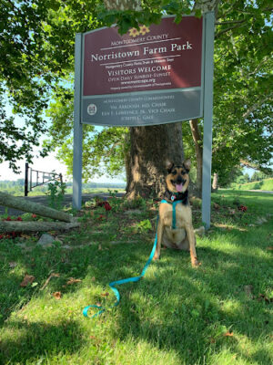 Norristown Farm Park
