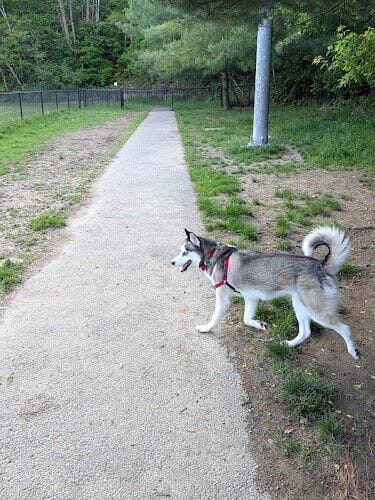 North Adams Dog Park