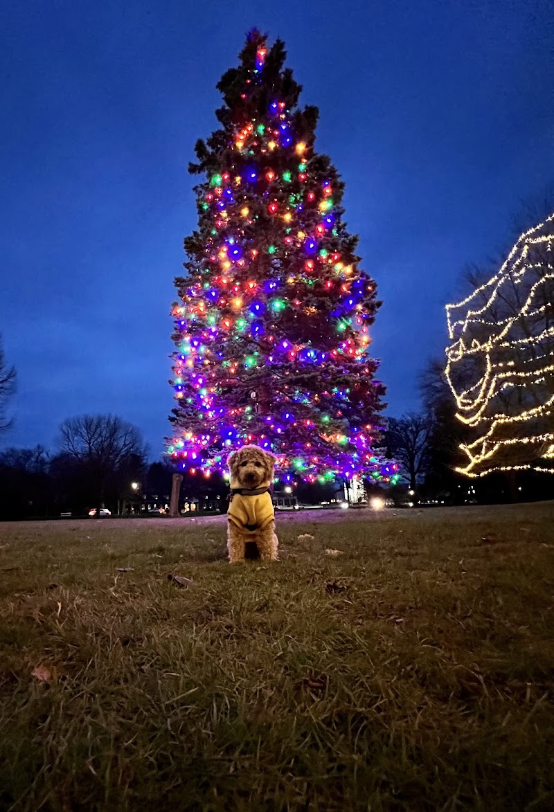 North Andover Town Common - North Andover, MA