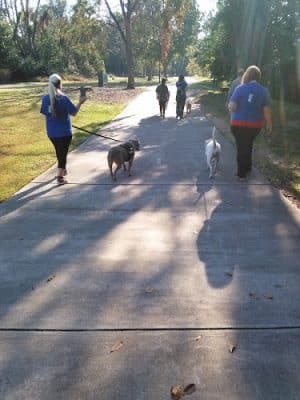 Boeckh Park