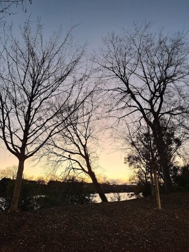 Boeckh Park