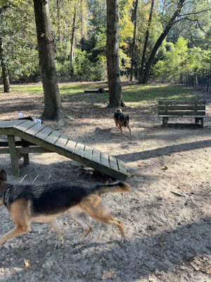 North Augusta Bark Park