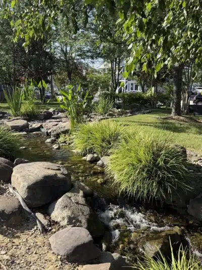 Mark R. Frazer Sunrise Garden - North Beach, MD