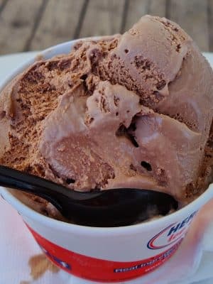 Cold Penguin Ice Cream