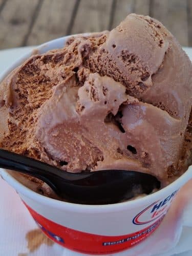 Cold Penguin Ice Cream