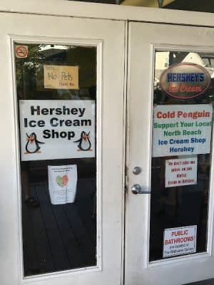 Cold Penguin Ice Cream