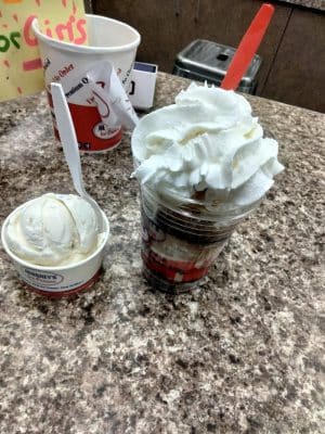 Cold Penguin Ice Cream