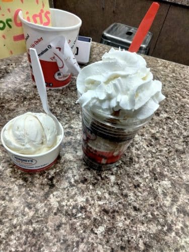 Cold Penguin Ice Cream